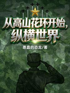 �Ӹ�ɽ������ʼ�ݺ�����